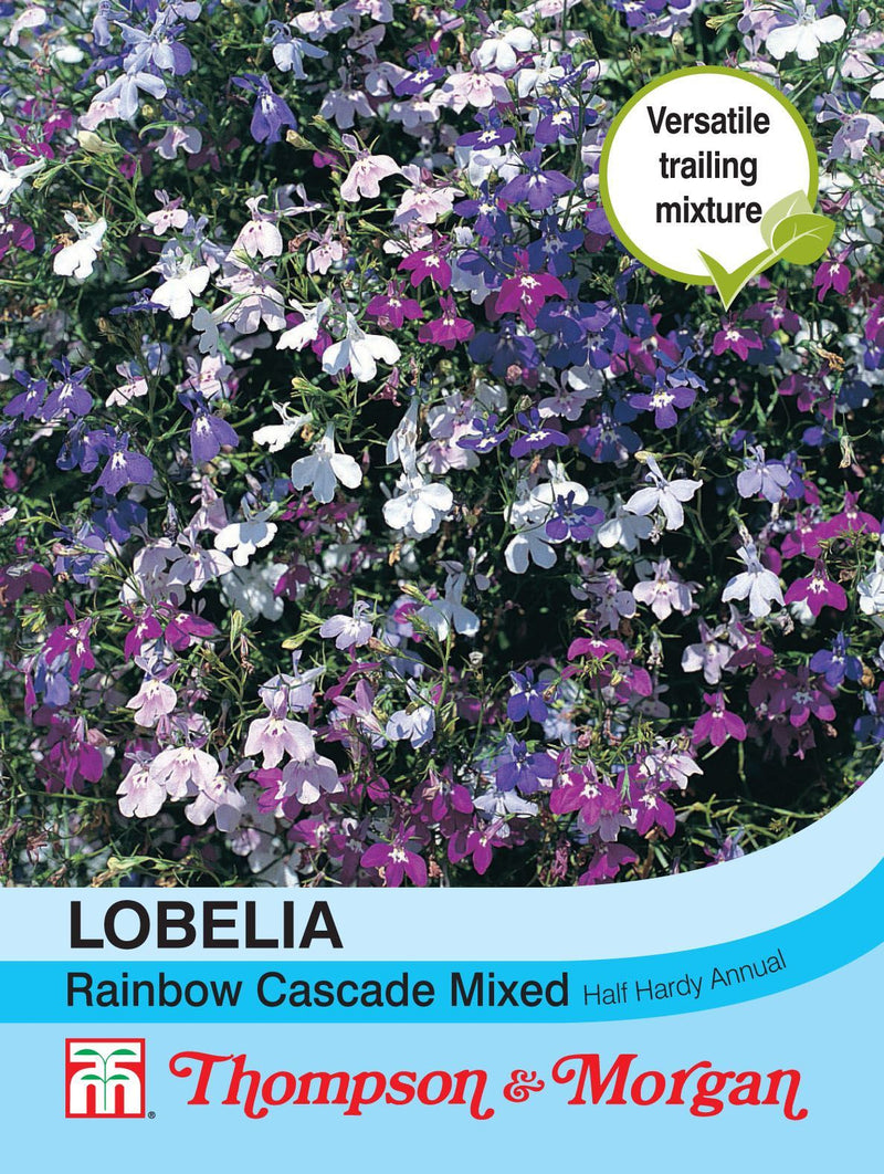 Lobelia (Trailing) Rainbow Cascade Mixed Flower Seeds