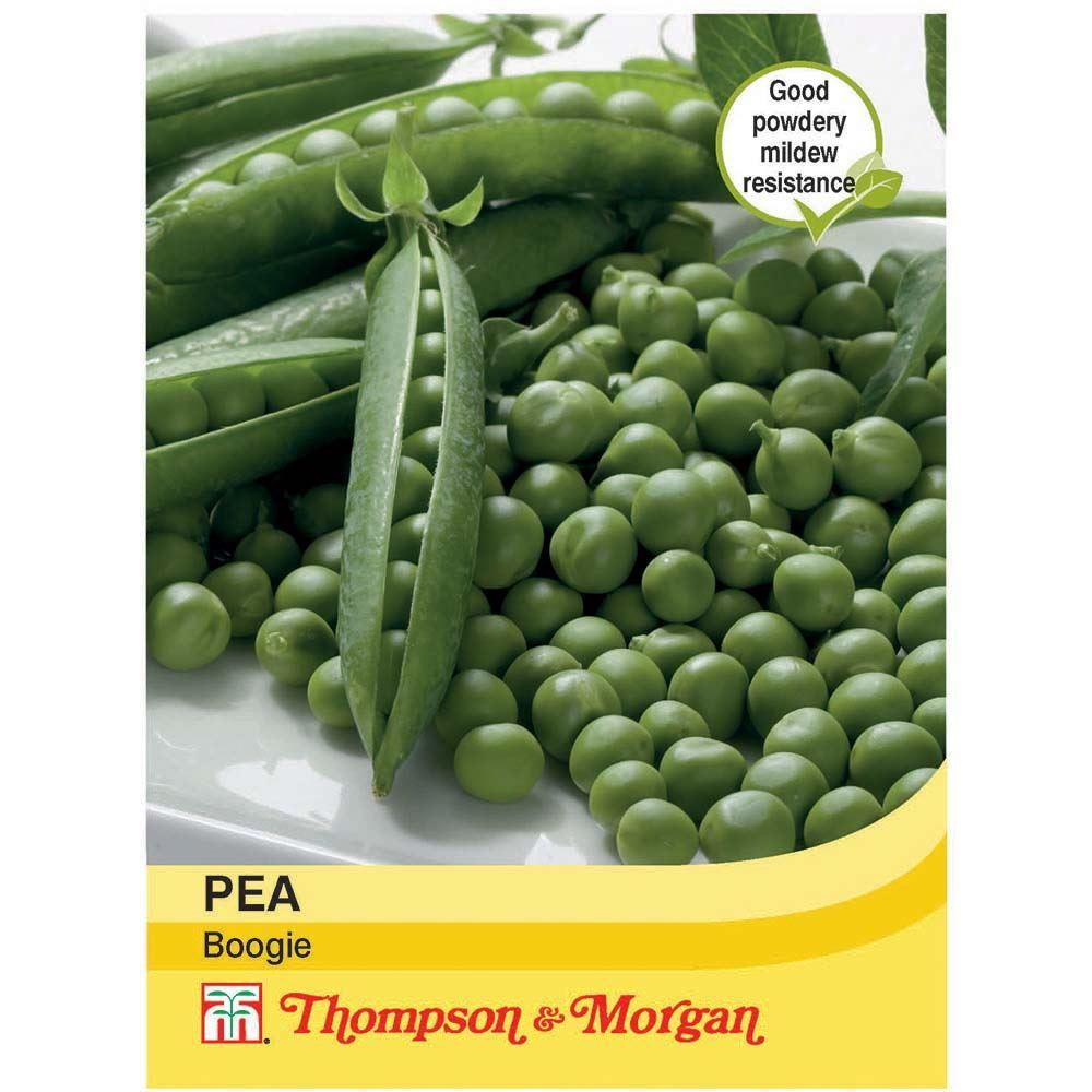 Pea Boogie Seeds