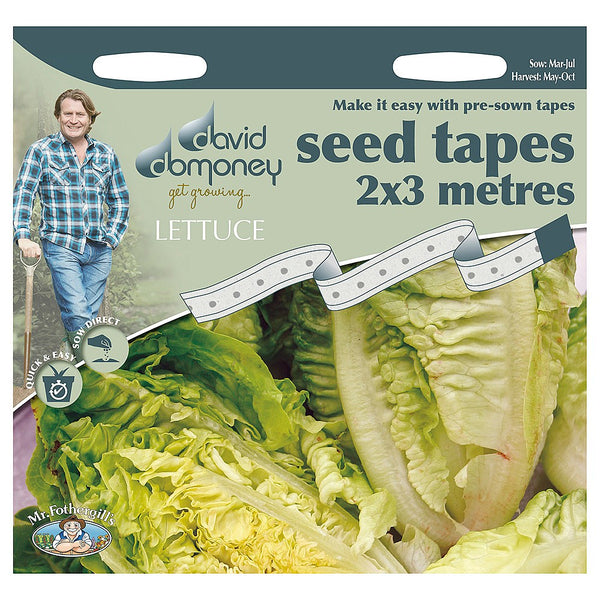 Little Gem Lettuce Seed Tape David Domoney