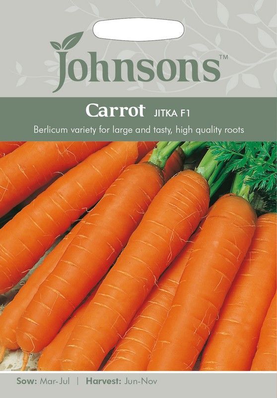 Carrot Jitka F1 Seeds