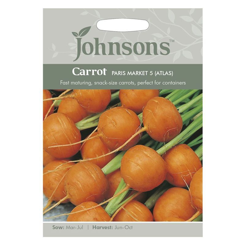 Carrot Paris Market 5 (Atlas) Seeds