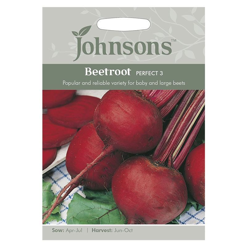 Beetroot Perfect 3 Seeds