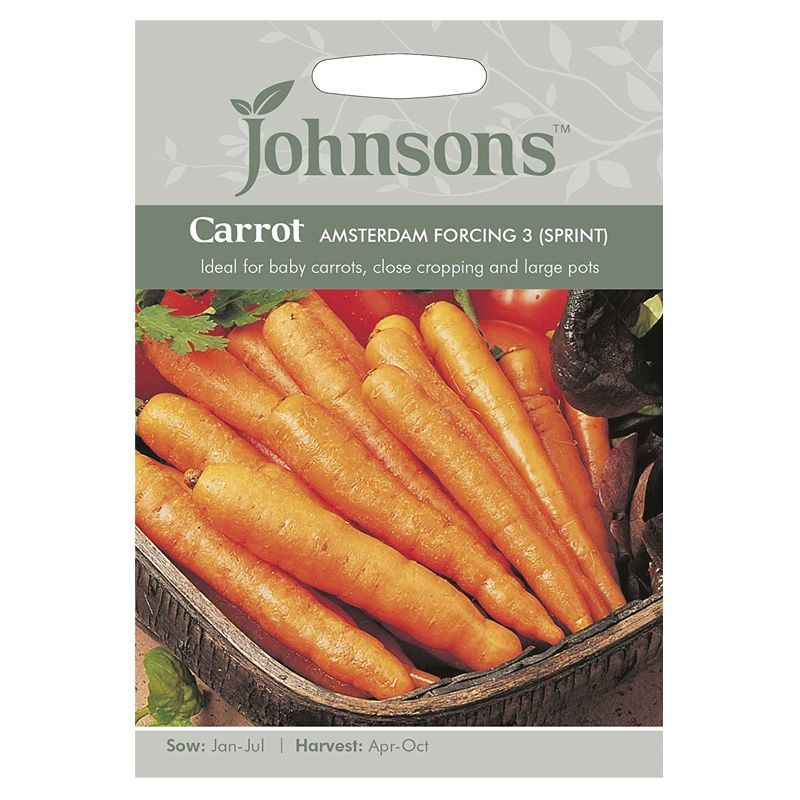 Carrot Amsterdam Forcing 3 (Sprint) Seeds