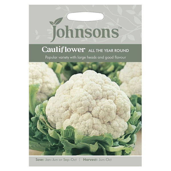 Cauliflower All The Year Round Seeds