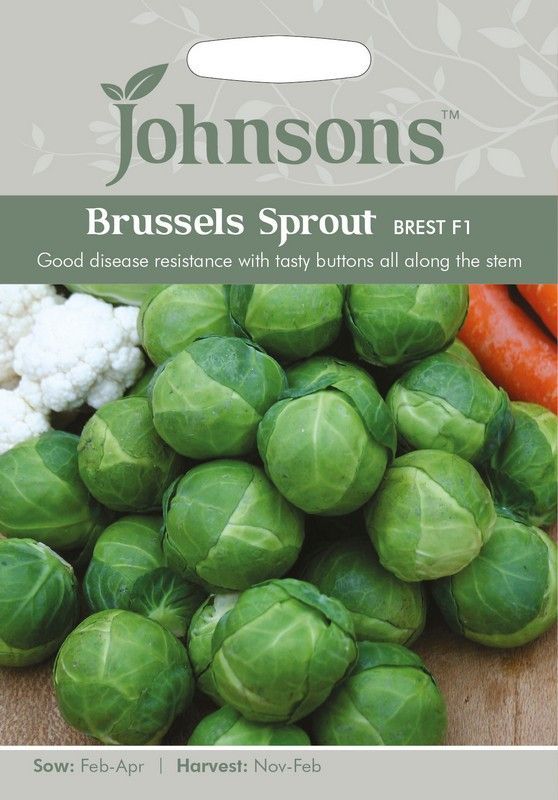 Brussels Sprout Brest F1 Seeds