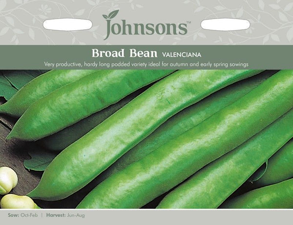 Broad Bean Valenciana Seeds