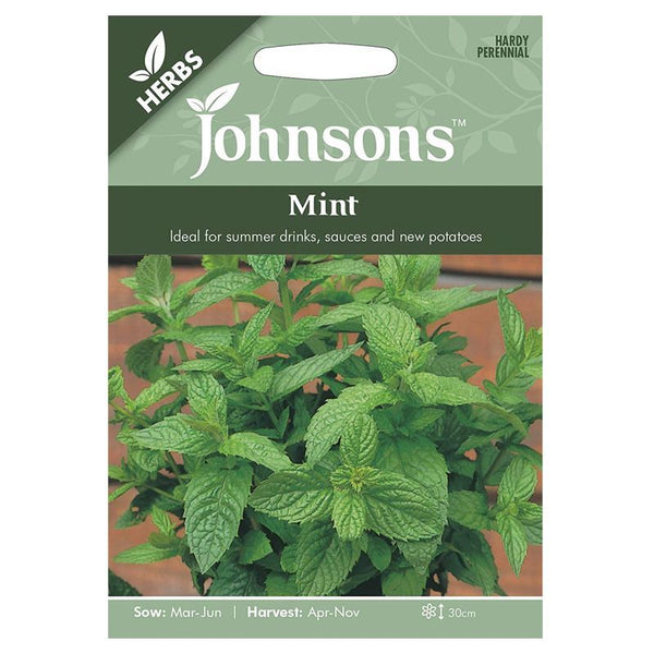 Mint Herb Seeds
