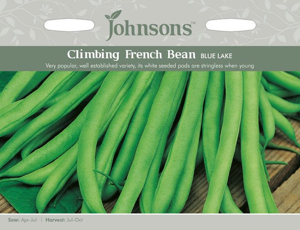 Climbing French Bean Blue Lake Seeds