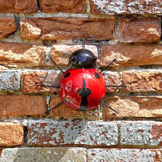Wall Art Ladybird Large