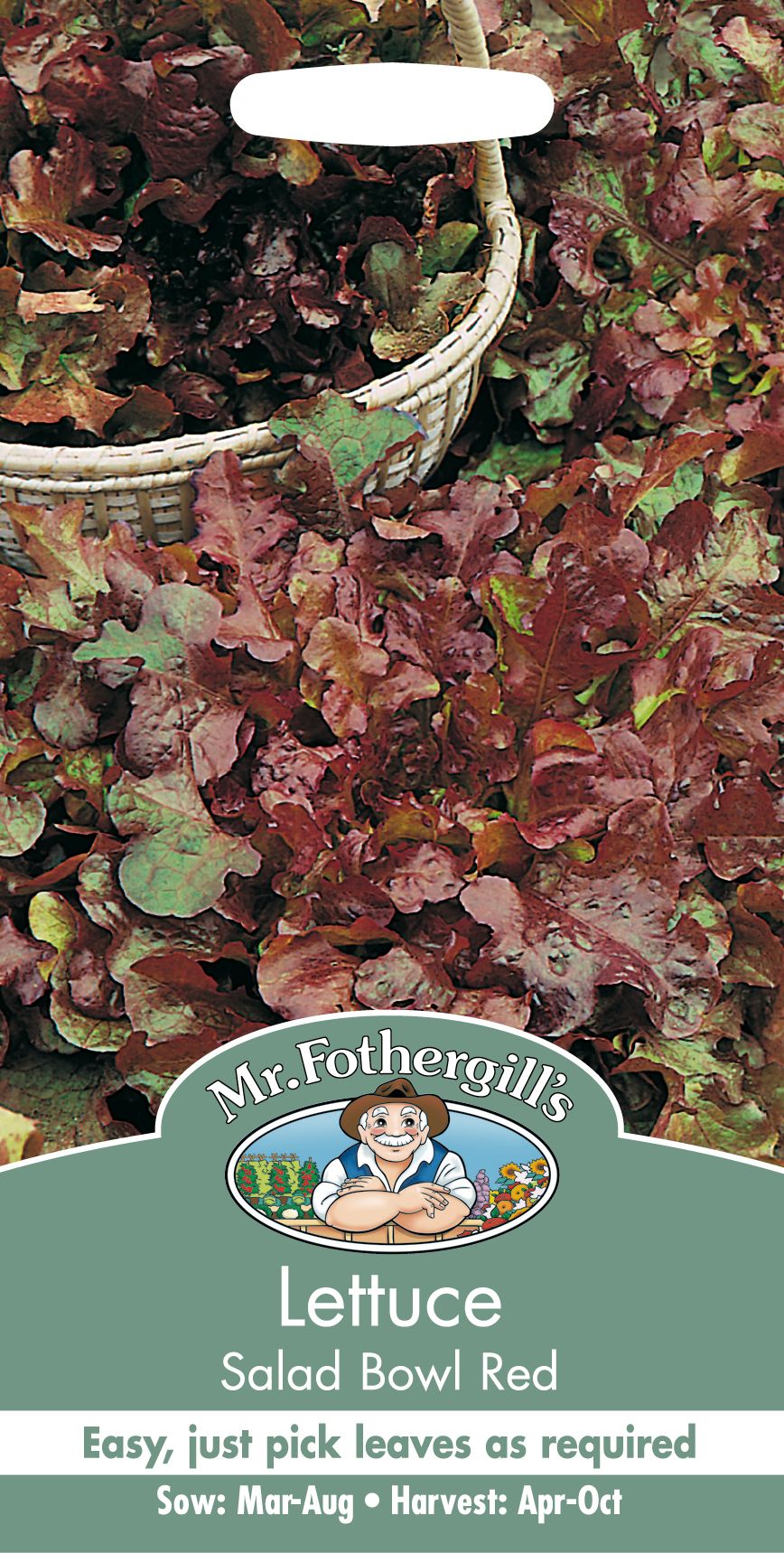 Lettuce Salad Bowl Red Seeds