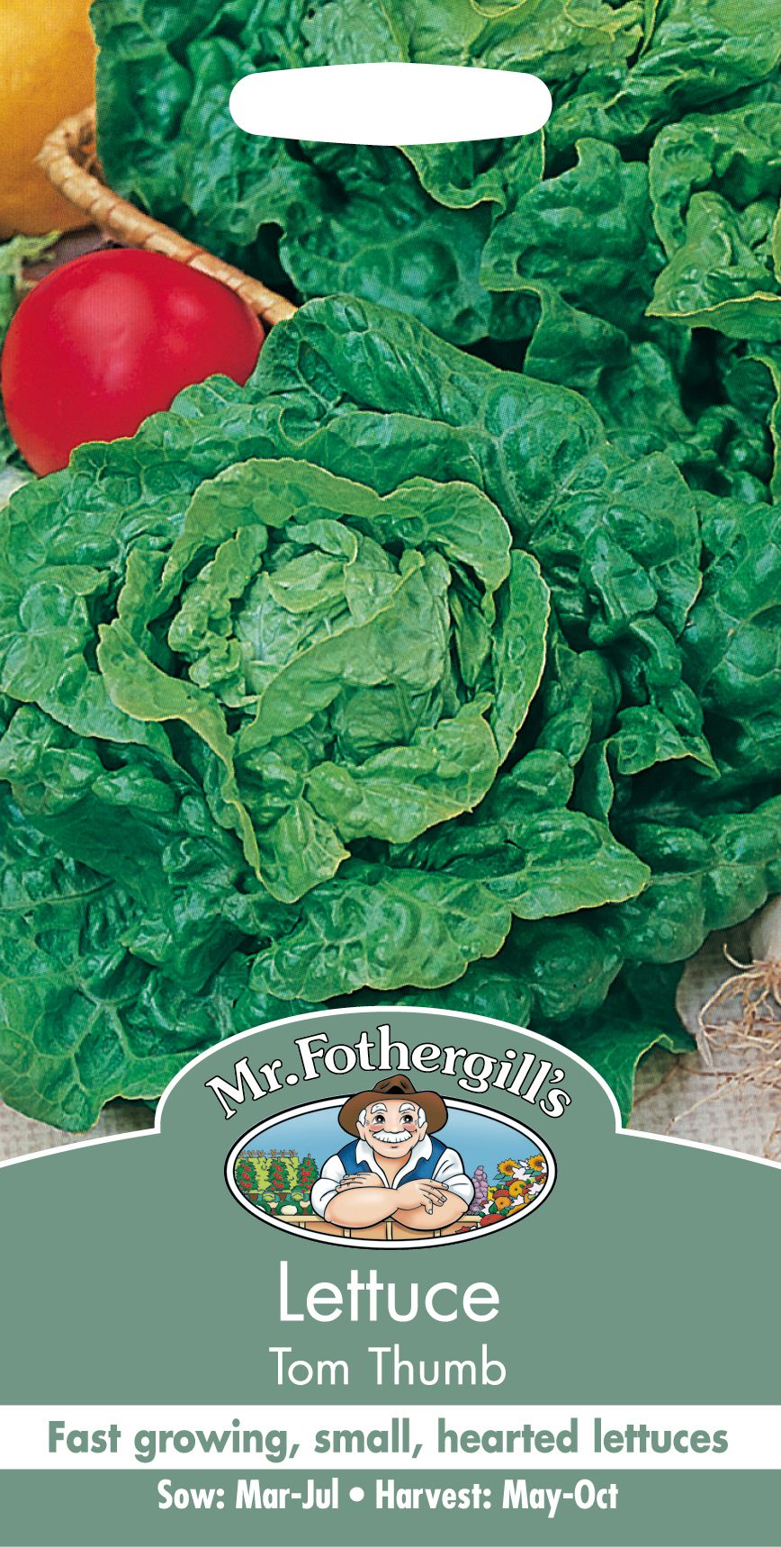 Lettuce Tom Thumb Seeds