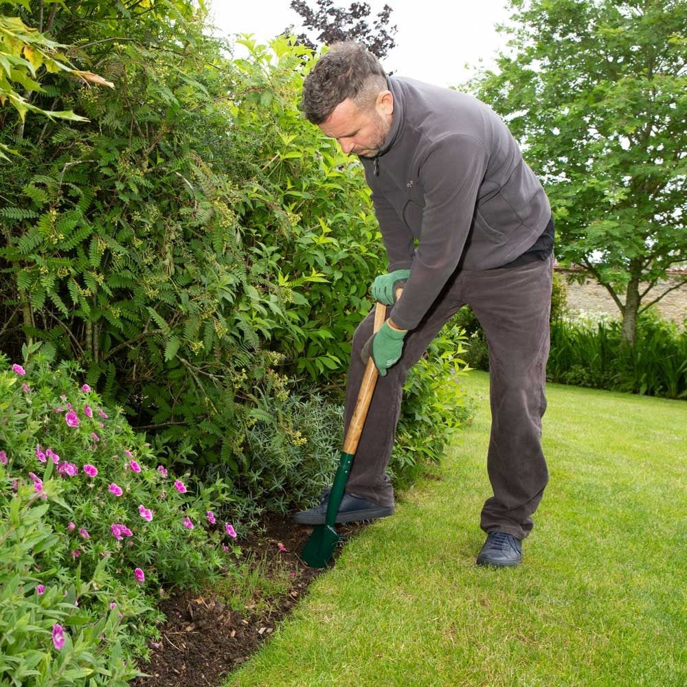 Carbon Steel Border Spade