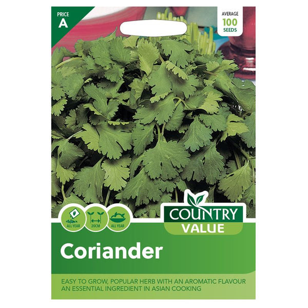 Coriander Herb Seeds Country Value