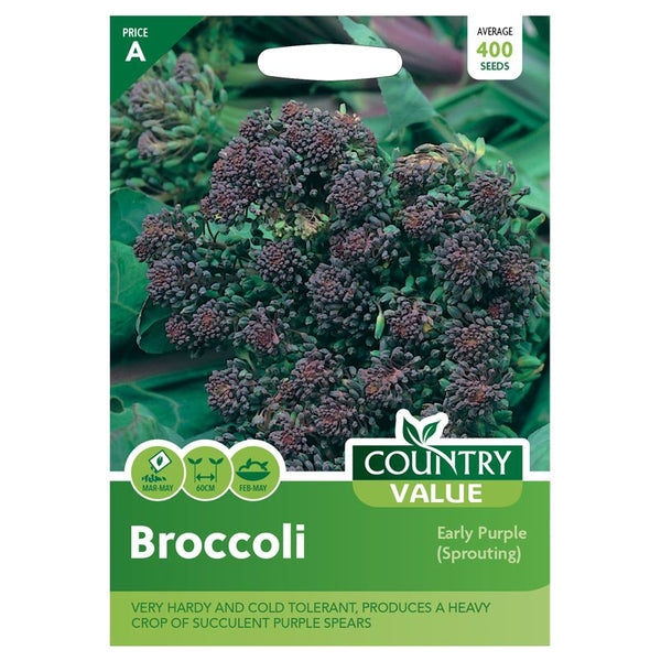 Broccoli Early Purple (Sprouting) Seeds Country Value