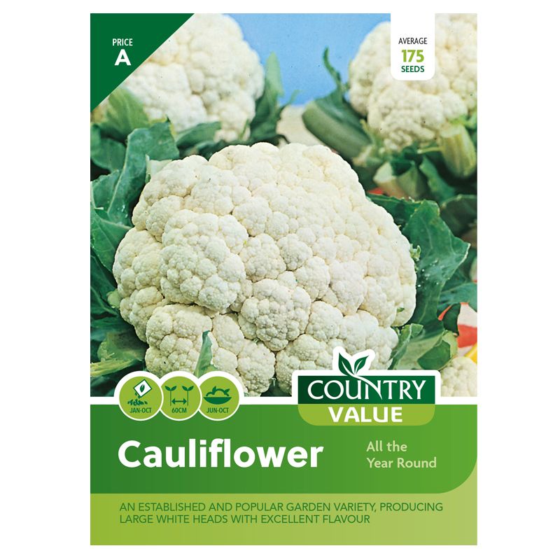 Cauliflower All the Year Round Seeds Country Value