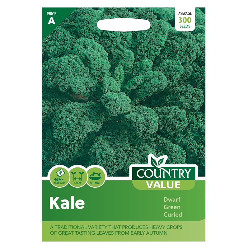 Kale Dwarf Green Curled Seeds Country Value
