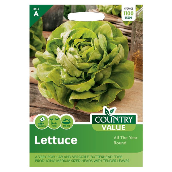 Lettuce All The Year Round Seeds Country Value