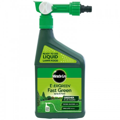 Miracle-Gro Evergreen Fast Green Spray and Feed 1L | Cornwall Garden Shop | UK