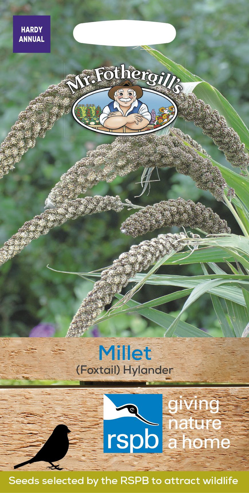 Millet (Foxtail) Hylander Seeds
