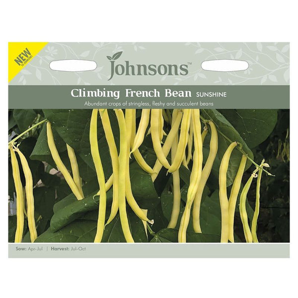 Climbing French Bean Sunshine Seeds