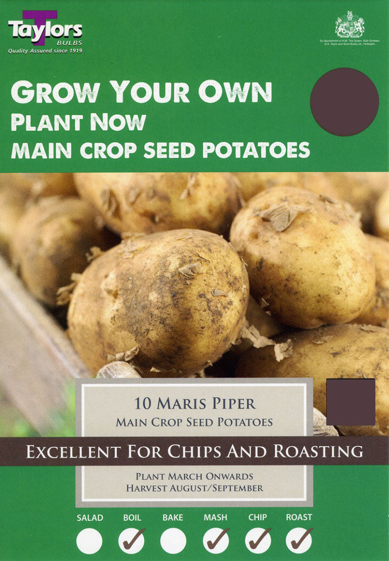 Maris Piper Main Crop Seed Potatoes (10)