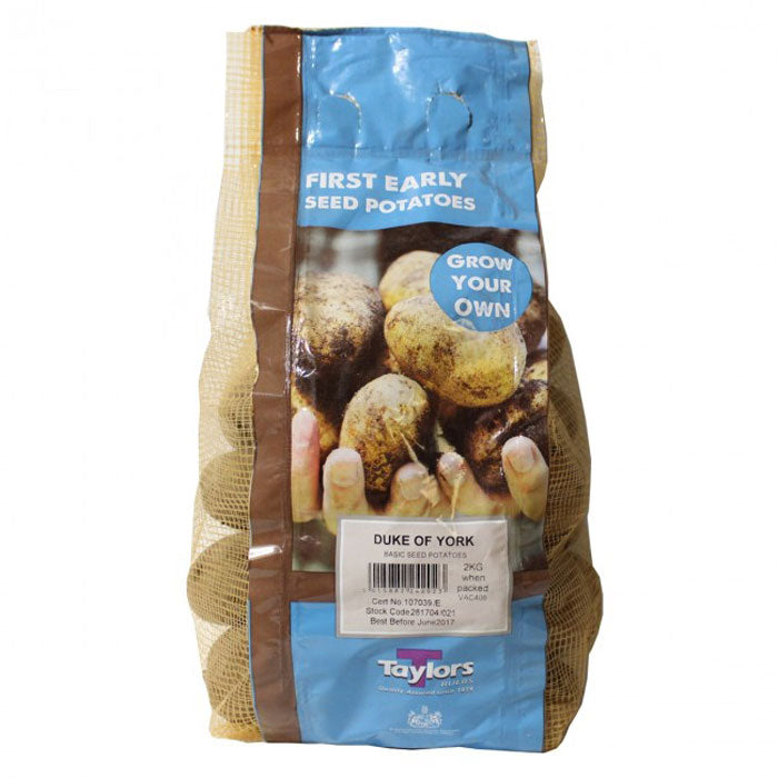 Duke Of York | Cornwall Garden Shop | UK