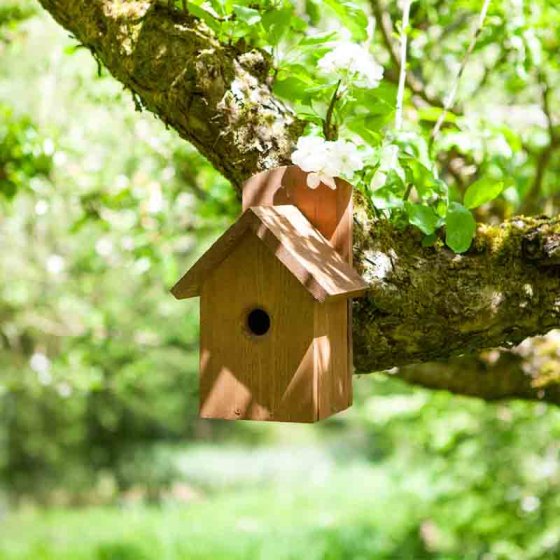 Nest Box Premier 28mm Entrance