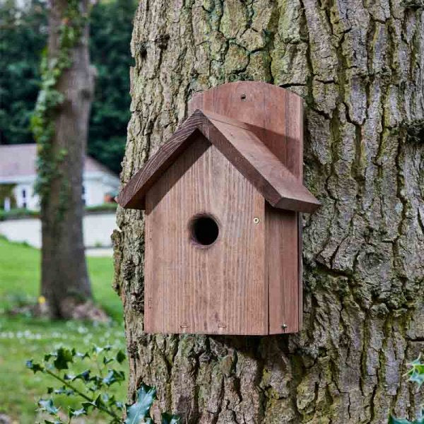 Nest Box Premier 28mm Entrance