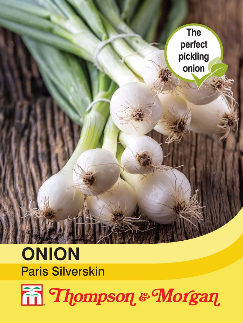 Onion Paris Silverskin Seeds