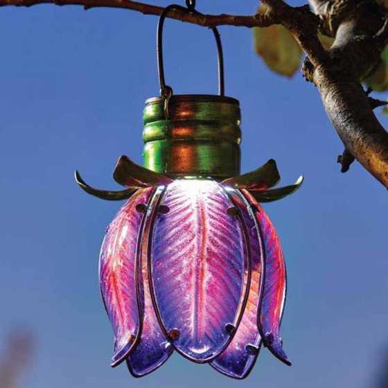Solar Lantern Tulip Purple