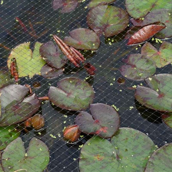 Pond & Fruit Cage Netting 12mm Black 10m x 2m