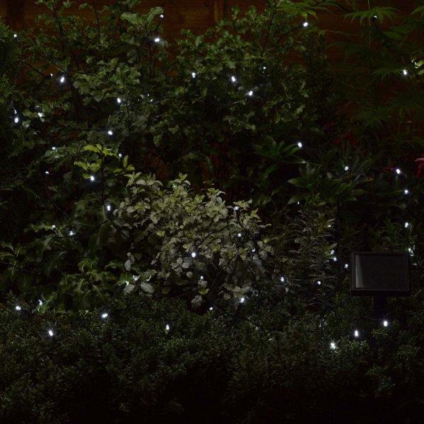 Buy Smart Garden 100 Cool White String Lights Solar Powered LEDs - Cornwall Garden Shop