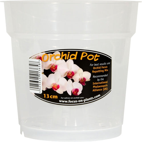 Orchid Pot 13cm Clear