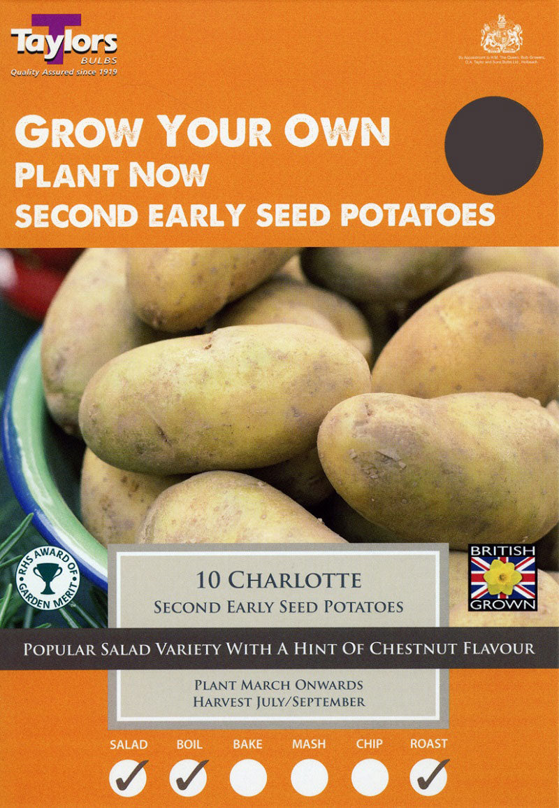 Charlotte Second Early Seed Potatoes (10)