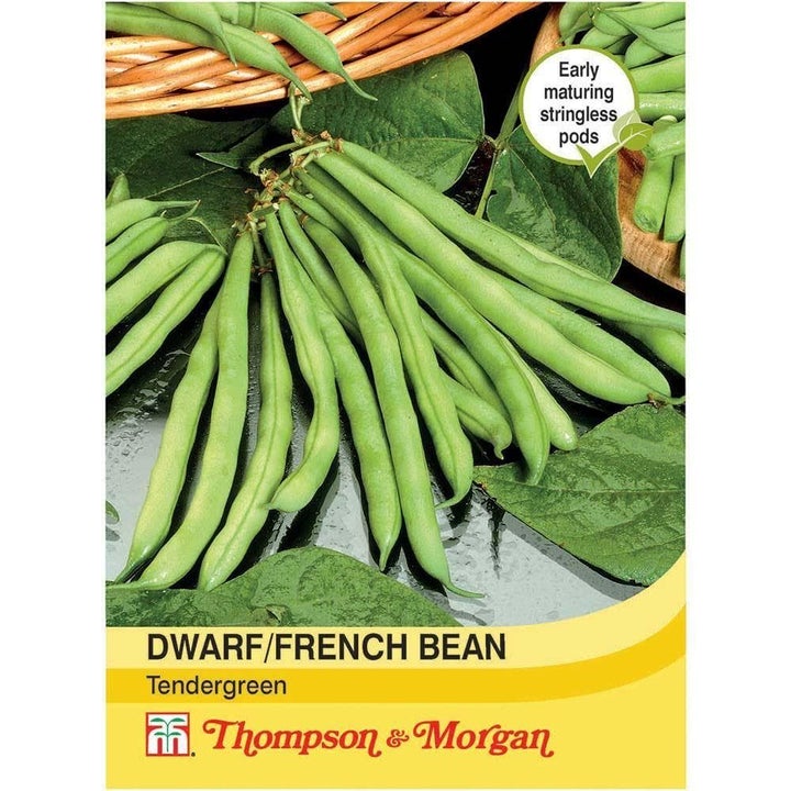 Dwarf Bean Tendergreen Seeds