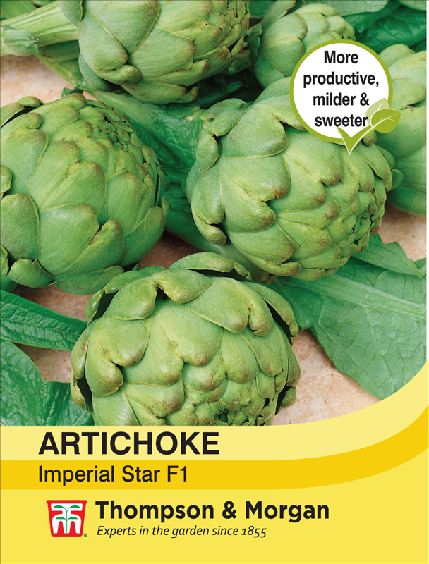 Artichoke Imperial Star Vegetable Seeds