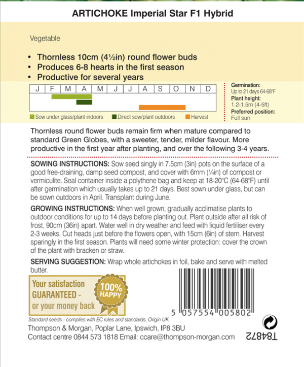 Artichoke Imperial Star Vegetable Seeds