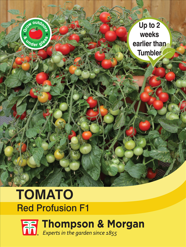 Tomato Red Profusion Seeds
