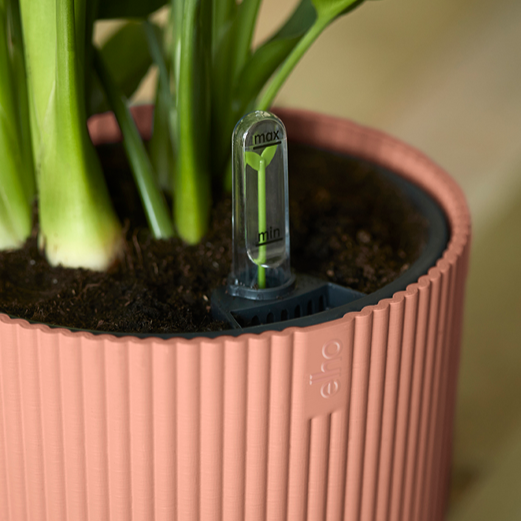 Vibes Fold Round 22cm Delicate Pink | Cornwall Garden Shop | UK