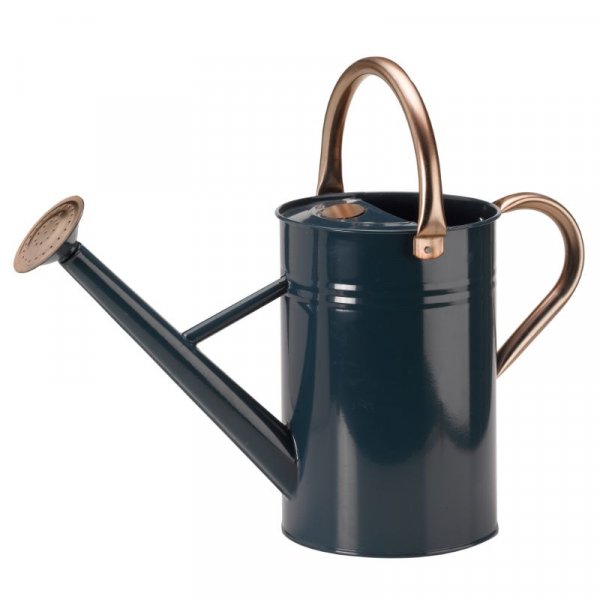 Watering Can 4.5L Blue
