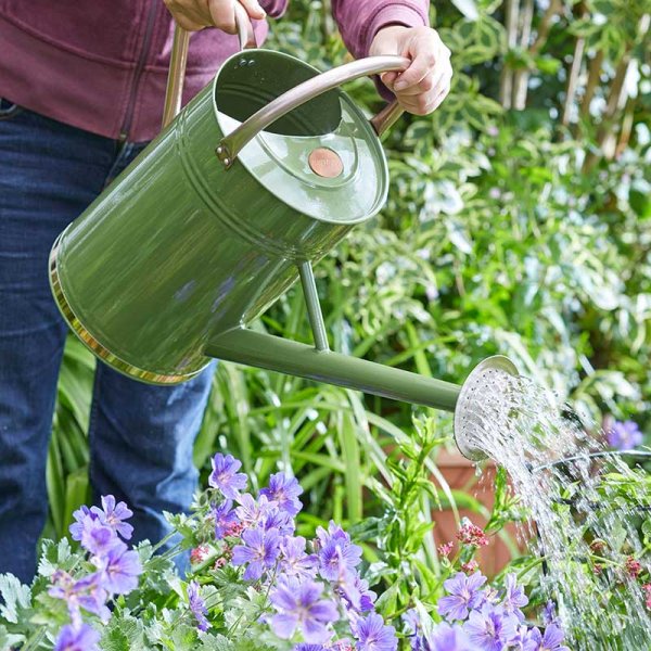 Watering Can 9L Sage Green
