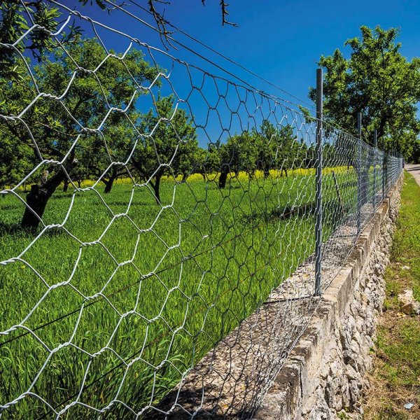 Galvanised Wire Netting 50mm 1.0 x 5m
