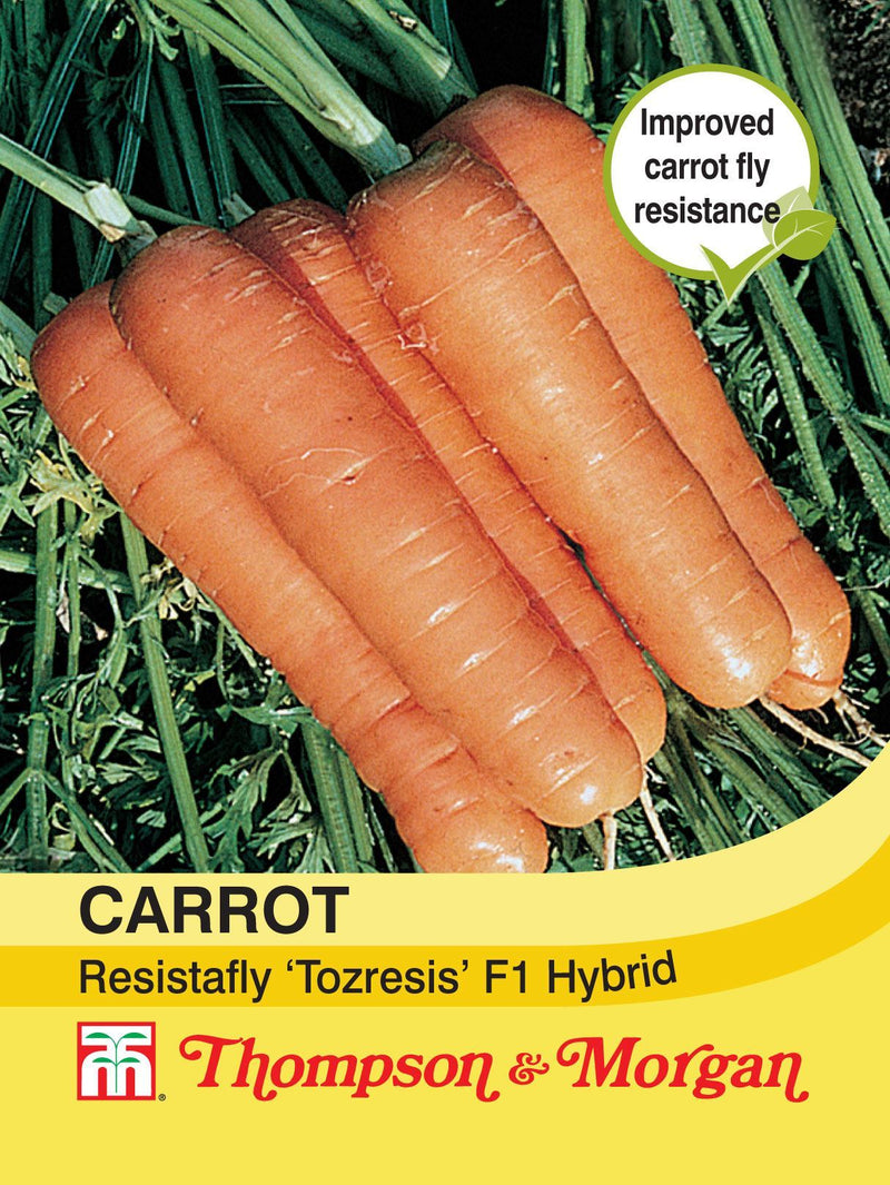 Carrot Resistafly Tozresis F1 Seeds