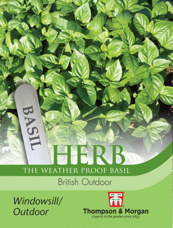 Basil British Outdoor Herb Seeds