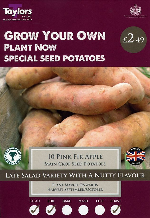 Pink Fir Apple Main Crop Seed Potatoes (10)