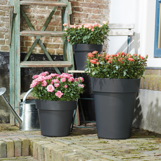 Green Basics Top Planter 47cm Living Black | Cornwall Garden Shop | UK