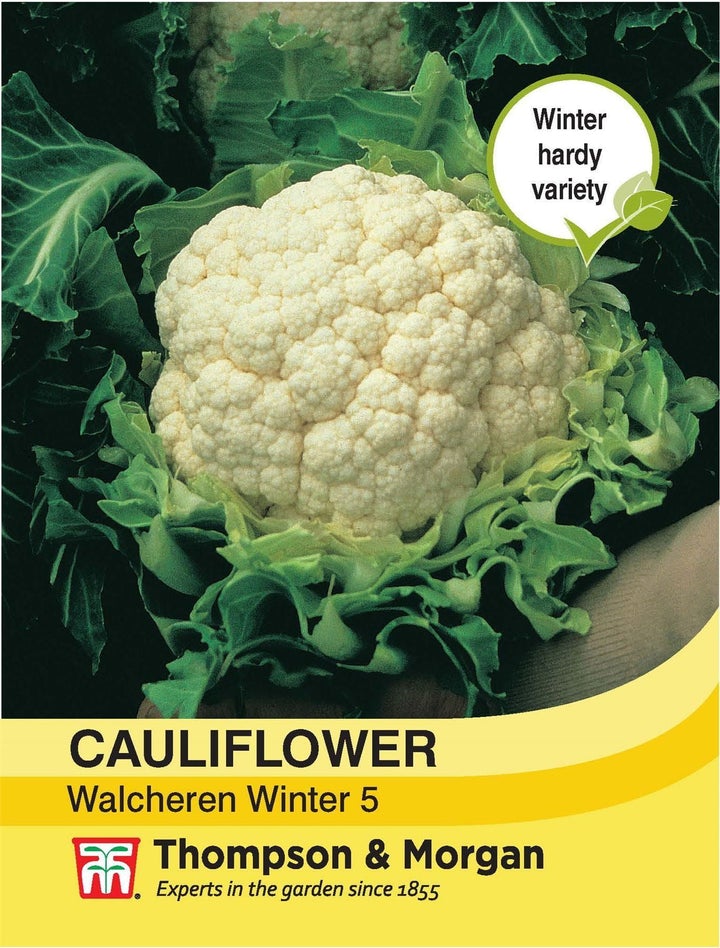 Cauliflower Walcheren Winter 5 Seeds