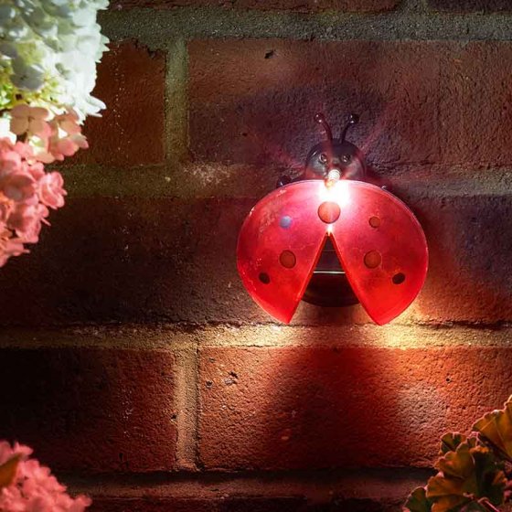Solar Ladybird Light