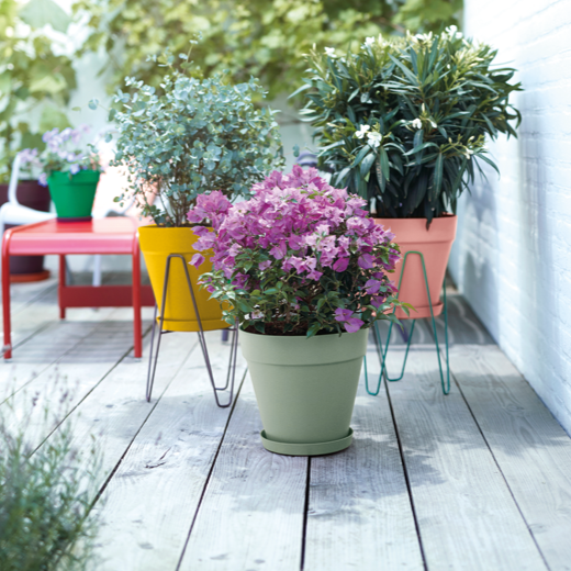 Loft Urban Round 20cm Pistachio Green | Cornwall Garden Shop | UK