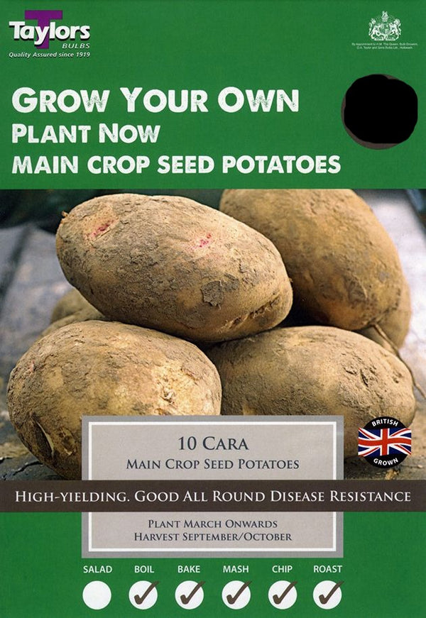 Cara Main Crop Seed Potatoes (10)